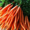 bialas carrots CSA