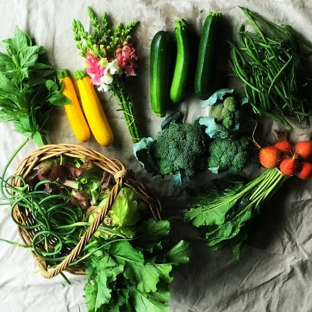 Bialas Farm CSA