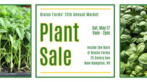 plant sale