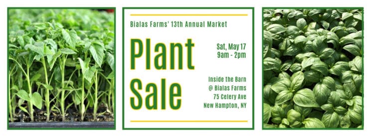 plant sale